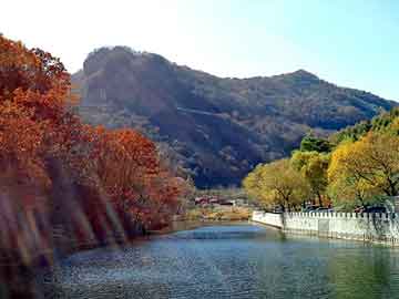 管家婆黑白马报图库，全本都市异能小说